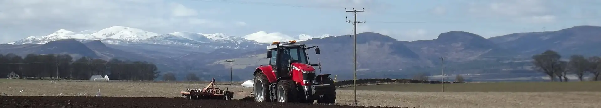 Massey Ferguson ciągniki, kombajny zbożowe, ładowarki, prasy